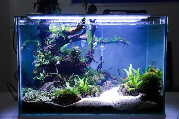 Produto: luminaria led para aquário